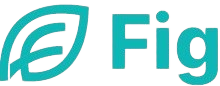 fig finance